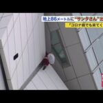 「コロナ禍でも来てくれた」地上86メートルに"サンタさん"出現 五稜郭タワー『クリスマス楽しんで』 (20/12/01 20:55)