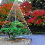 2024年秋の小石川後楽園スライドショー動画