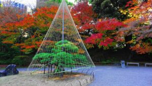 2024年秋の小石川後楽園スライドショー動画