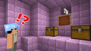 荒らし?!エンドで大変なことが起きていました PART265【マイクラ】