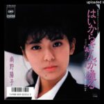 南野陽子 - はいからさんが通る (1987)