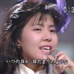 楽園のDoor／南野陽子