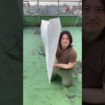 でっかい紙で紙飛行機を作ろう【Make a paper airplane out of a large piece of paper】#shorts
