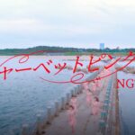 NGT48 5thシングル「シャーベットピンク」MUSIC VIDEO Full ver. / NGT48[公式]