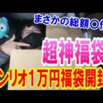 マジで内容が神すぎる！サンリオ福袋を２つ購入したので両方開封したら中身が衝撃すぎた!! 【Sanrio】