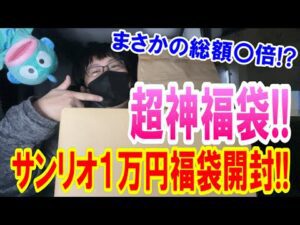 マジで内容が神すぎる！サンリオ福袋を２つ購入したので両方開封したら中身が衝撃すぎた!! 【Sanrio】