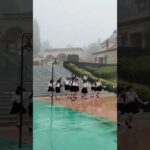 #hkt48 #半袖天使