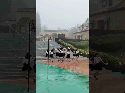 #hkt48 #半袖天使