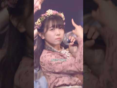 네가 알려준 사랑이였어🍵: HKT48 - 캐모마일 (カモミール) #hkt48