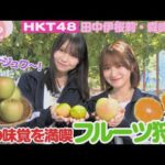 【HKT48】みかんもリンゴも!熊本で楽しむ秋の味覚狩り体験!【HKT48チーム熊本】