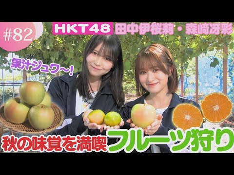 【HKT48】みかんもリンゴも!熊本で楽しむ秋の味覚狩り体験!【HKT48チーム熊本】