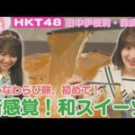 【HKT48】感動食感！種類豊富な和スイーツを紹介！【HKT48チーム熊本】