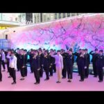 HKT48結成15周年✕九州新幹線全線開業15周年スペシャルライブ 2026年4月10日