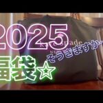 【福袋🐍開封🌟】ケイトスペード🙈2025katespade♠️¥35000福袋💜
