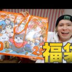 【福袋】ヴィレッジバンガード開封(´・ω・`) 2025年  PDS