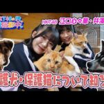 HKT48が福岡県動物愛護センターへ！保護犬・保護猫と触れ合ってきました【HKT48の福岡撮影中。】