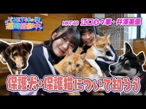 HKT48が福岡県動物愛護センターへ！保護犬・保護猫と触れ合ってきました【HKT48の福岡撮影中。】