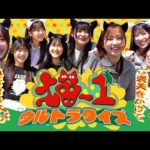 【猫-1ウルトラクイズ】猫好き8人がご褒美をかけて本気バトル!!