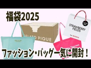 【福袋2025】ジェラピケ・ストロベリーフィールズ・ポール&ジョーアクセソワ・サマンサタバサプチチョイス