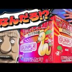 倍率74倍？今年最大の人気福袋！ヨドバシカメラ夢のお年玉箱「ガンプラの夢」【福袋開封】