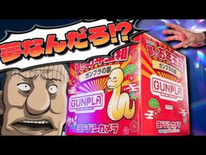 倍率74倍？今年最大の人気福袋！ヨドバシカメラ夢のお年玉箱「ガンプラの夢」【福袋開封】